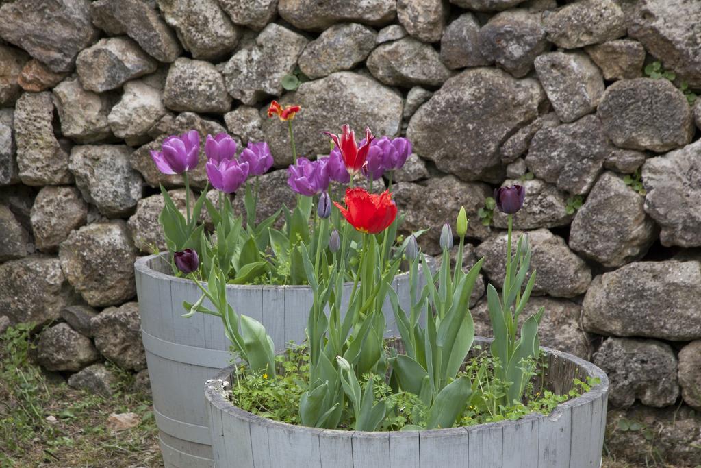 Agriturismo Borgo Personatina Совичилле Экстерьер фото